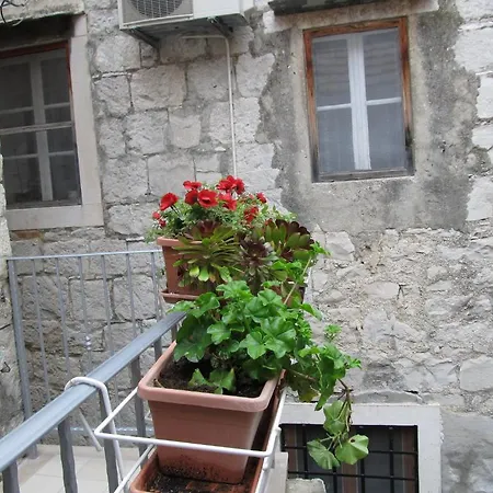 佩特拉公寓和客房旅馆 招待所